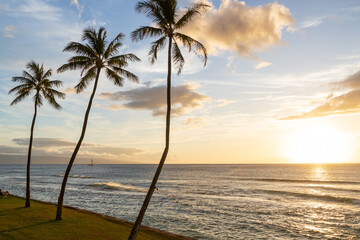 Tall palm trees and sunset on Maui beach with dark clouds and blue sky