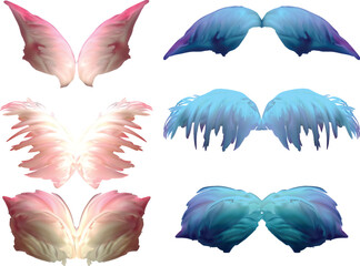 Poster - six pink and blue wings couples isolated on white background