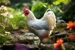 White chicken leghorn breed freely roaming in lush garden during summertime. Generative AI