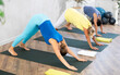 Family practicing downward facing dog pose of yoga in fitness room. High quality photo