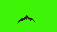 An Animated Black Bat Flies Out From The Center Of The Screen. Looped Video. Concept Of Halloween, Black Friday. Vector Illustration Isolated On A Green Background.