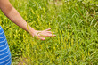 © Tetra Images - Close-up of young woman touching grass