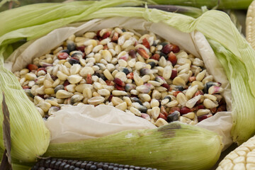 Wall Mural - Shelled corn, black corn kernels, there are different types of corn