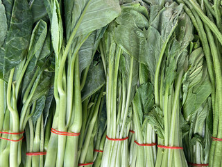 Poster - fresh chinese kale in the market