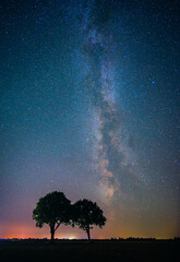 Wall Mural - Night landscape with colorful Milky Way and two trees, autumn sky