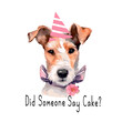 Did someone  say cake? A cute dog in a birthday cap. Fox terrier breed. For printing on print, logo, icon, print