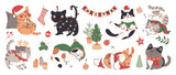 Fototapeta Pokój dzieciecy - Merry christmas and happy new year concept background vector. Collection drawing of cute cats with decorative scarf, ribbon, hat. Design suitable for banner, invitation, card, greeting, banner, cover.