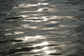 Sun reflecting in water surface