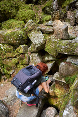 Wall Mural - Woman hiker on a trail