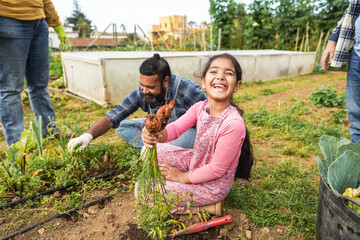 Wall Mural - Indian family picking up organic carrots from house garden outdoor - Vegetarian, healthy food and education concept - Focus on kid face