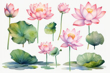 Set Of Watercolor Lotus Flowers