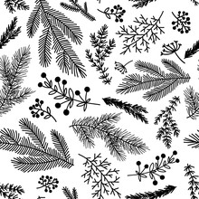 Seamless Pattern Background With  Winter Christmas Holly, Spruce  Branches, Twigs With Leaves, Berries. Floral Botanical Elements. Hand Drawn Line Vector Illustration.