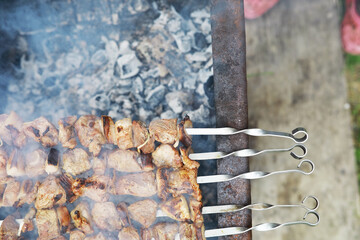 Wall Mural - Delicious and juicy barbecue fried on coals in nature during a picnic. High quality photo