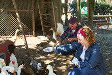 Happy blond farmer feeding geese with colleague in ranch