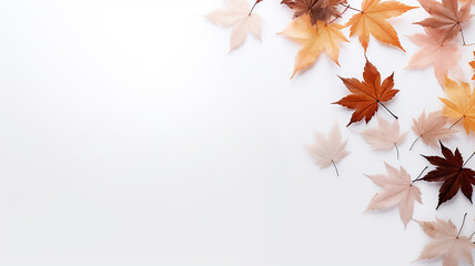 Wall Mural - maple leaves on a white background isolated frame of fallen leaves autumn blank