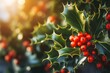 Christmas holly and ivy with blurred background