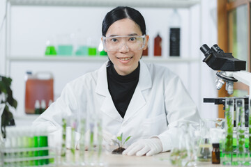 Wall Mural - plant in medical pharmacy science research at chemical medicine laboratory for pharmaceutical industry, chemistry development scientist using equipment for health technology experiment or biology drug