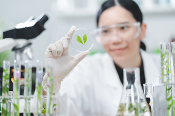 Wall Mural - plant in medical pharmacy science research at chemical medicine laboratory for pharmaceutical indust