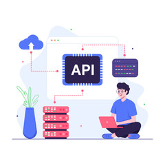 Programmer doing API integration