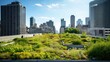rooftop urban green roofs illustration garden ecology, building city, environment plant rooftop urban green roofs 54