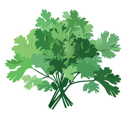 Wall Mural - Fresh cilantro design