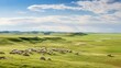 landscape north kazakhstan steppe illustration sky park, grass cloud, beautiful national landscape north kazakhstan steppe