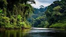 Forest French Guiana Rainforest Illustration Landscape Green, Jungle Natural, Tree Beautiful Forest French Guiana Rainforest
