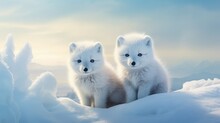Wildlife Polar Foxes Cute Illustration Arctic Fox, Animal Wild, Snow Nature Wildlife Polar Foxes Cute