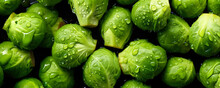 Fresh Brussels Sprout Vegetables, With Water Drops Over It, Closeup Macro Detail. Generative AI