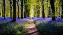 Natural Bluebell Carpet Forest Illustration Trees Beauty, Green Landscape, England Season Natural Bluebell Carpet Forest