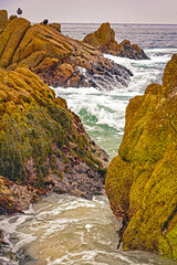 Wall Mural - Lovers Point Beach Landscape 