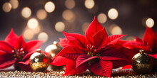 Christmas Poinsettia Flowers Decoration With Christmas Ornaments Balls Over Sparkling Background. Festive Banner Composition With Copy Space.