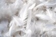 Weiße Federn als Hintergrundbild. Daunen für Kissen oder industrielle Nutzung.. Vogelfedern auf einen Haufen als Textur. 