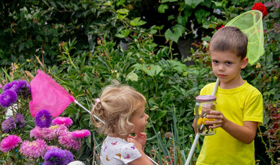 Wall Mural - children catch butterflies butterflies in a jar. Selective focus