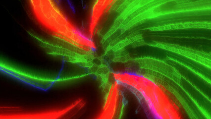 Wall Mural - bright colors and forms move and undulate on screen. motion. spinning time travel jump with spinning