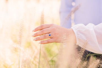 Wall Mural - Close-up of a woman's hand as she shows off her sapphire engagement ring is in a wheat field. 