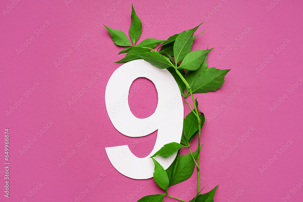 Green leaves with paper number nine on pink background