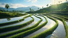A Picturesque Rice Field With A Majestic Mountain As Its Backdrop