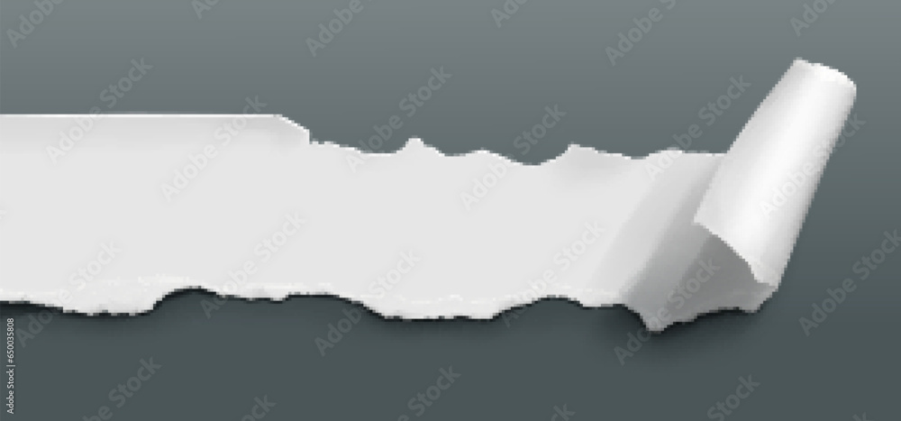Rip paper page curl with torn edge vector sheet. Clean canvas surface ...