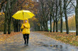 © somemeans - Boy in yellow raincoat, rubber boots and with an yellow umbrella in hands is walking in the autumn park