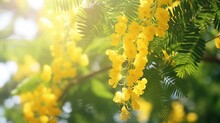 A Tree With Yellow Flowers And Green Leaves