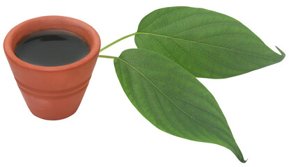 Poster - Ayurvedic Vasica leaves with extract