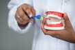 Dentist in a lab coat holds a plastic jaw model and demonstrates proper toothbrushing