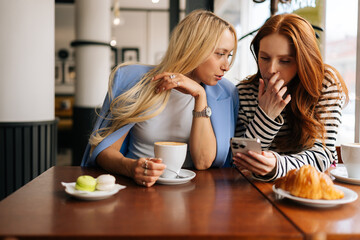 Wall Mural - Front view of two happy charming girlfriends using mobile phone sitting at the cafe indoors and looking to screen. Beautiful best female friends chatting together and discussing using smartphone.