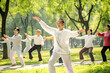 A group of asian people doing Tai Chi in a park, holistic health
