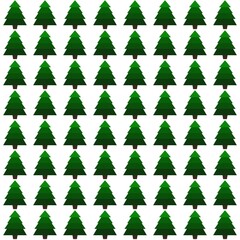 Wall Mural - Seamless pattern with Christmas trees on white background. Vector illustration.