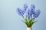 Purple hyacinth on white background, hyacinth flowers background with white space, hyacinth flowers wallpaper, spring flowers theme wallpaper, menu design for women's products