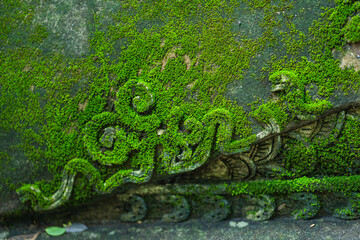 Wall Mural - Beautiful Textured green natural moss covered old part of the ancient Wat Umong historic Lanna-style Buddhist temple is travel and worship a popular tourist attraction famous Chiang Mai, Thailand.