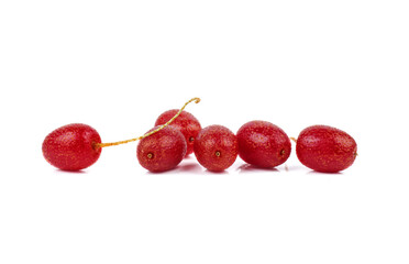 Wall Mural - Red sea buckthorn.Shepherdia.Buffaloberry.Red berry isolated on white background.