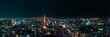 panoramic, tourist attractions in the city park of Tokyo, Asia business concept image, panoramic modern cityscape building in Japan.  
